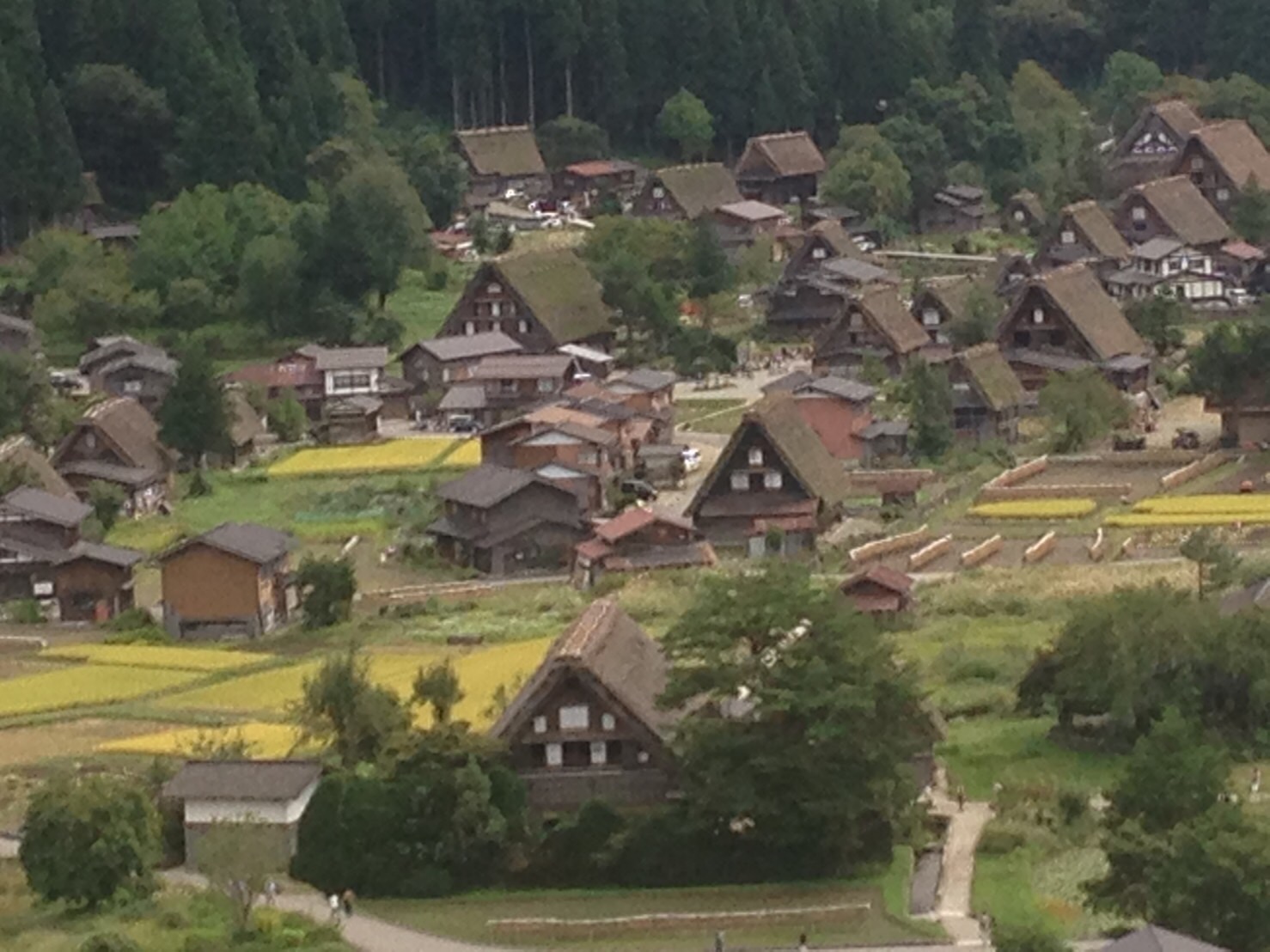 秋の白川郷へ おすすめならhidabako